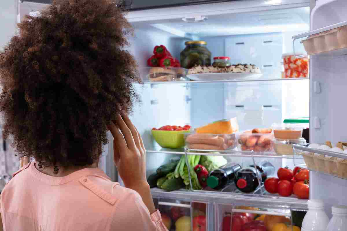 Un frigo sempre in ordine è possibile venezialeondoro.it