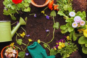 pacciamatura piante giardino